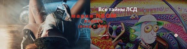 mdma Белокуриха